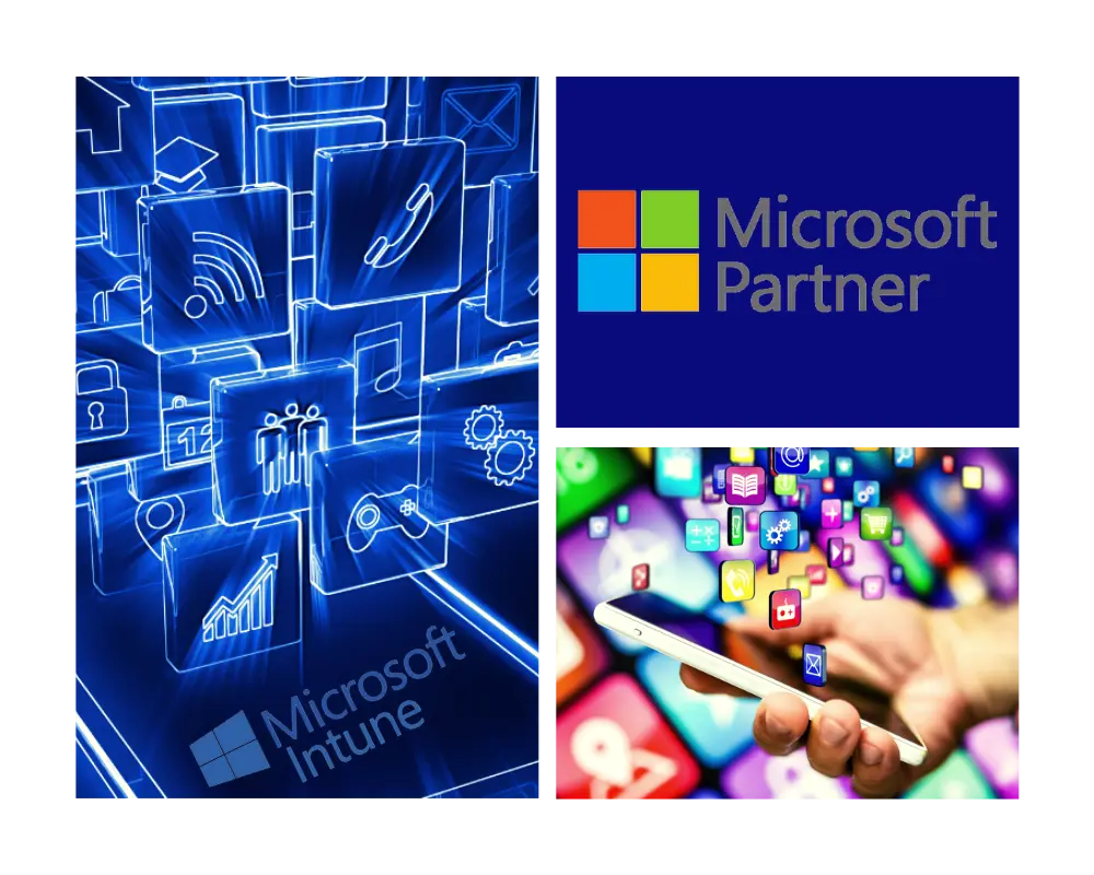 microsoft partenaire