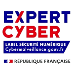 cyber expert
