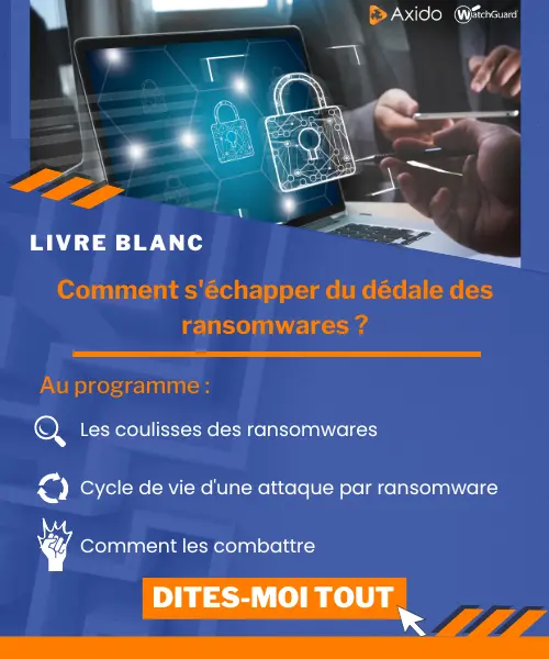 livre blanc ransomware