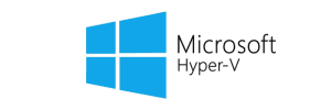 micros hyper-v