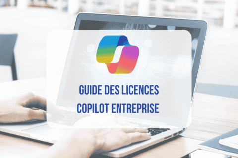 Licence Copilot