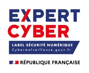 Cyber expert