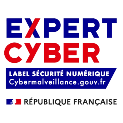 cyber expert